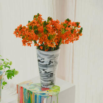 Conic Vaas Maat M - Zwart/Wit