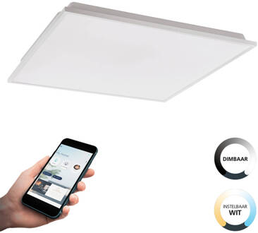 connect.z Herrora-Z Smart Plafondlamp - 59,5 cm - Wit