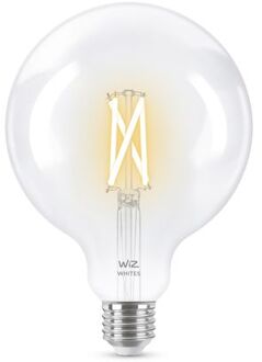 Connected Bulb Globe 120 Wit Variabel E27 60w