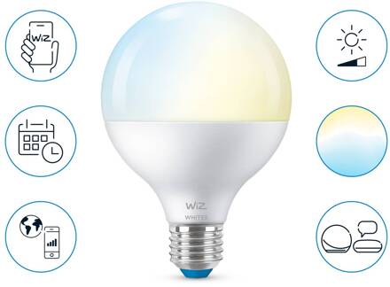 connected bulb globe 120 wit variabel e27 75w