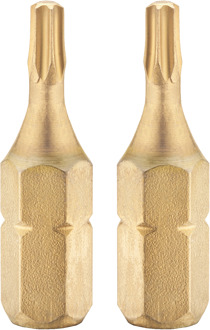 Connex Bits Torx G10 Iso/Tin (2St) - COXT973810