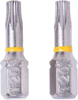 Connex Bits Torx G20 Diamant (2St) - COXT973472