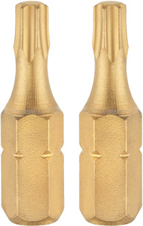 Connex Bits Torx G20 Iso/Tin (2St) - COXT973820