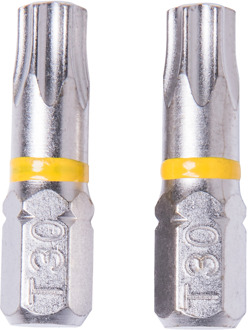 Connex Bits Torx G30 Diamant (2St) - COXT973474