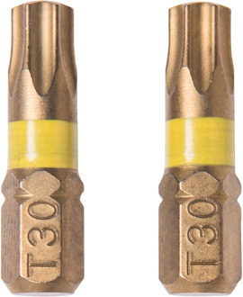 Connex Bits Torx G30 Iso/Tin (2St) - COXT973830