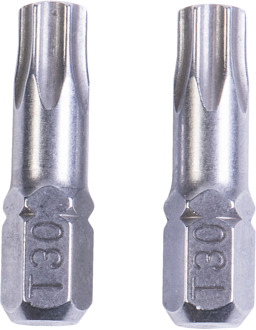 Connex Bits Torx G30 Rvs (2St) - COXT973318