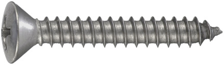 Connex Plaatschroef Bvk 2.9X13 30St Rvs-A4 - DY4832913