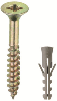 Connex Pz-Schroef 5.0X50 + Plug Bag 25St - B33383