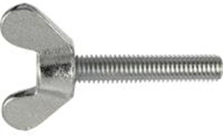 Connex Vleugelbout M10X40 2St Vz - KY4171040