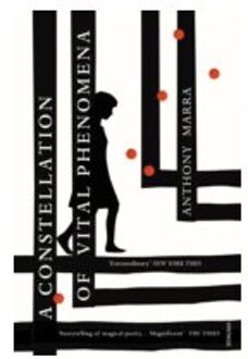 Constellation of Vital Phenomena