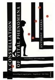 Constellation of Vital Phenomena