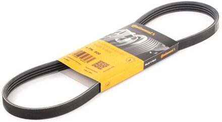 CONTITECH Distributieriem 4PK800