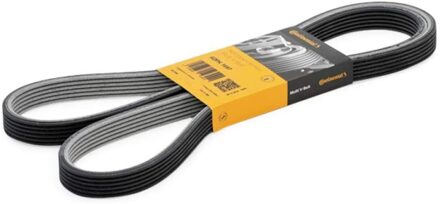 CONTITECH Distributieriem 6DPK1697