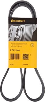 CONTITECH Distributieriem 6PK1244