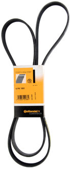 CONTITECH Distributieriem 6PK1893