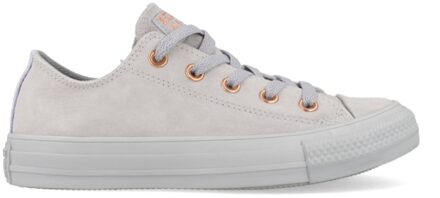 Converse All Stars Suede 161206C Grijs maat