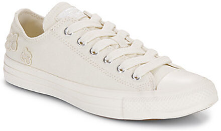 Converse Lage Sneakers Converse CHUCK TAYLOR ALL STAR" Wit - 36,37,38,39,40,41,35,37 1/2,36 1/2,39 1/2