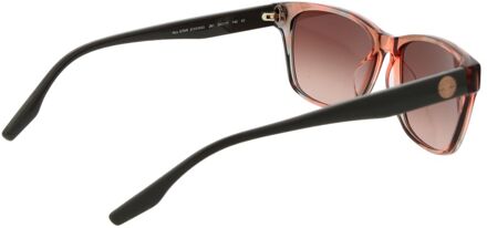 Converse Roze Gouden Acetaat Zonnebril Roségoud