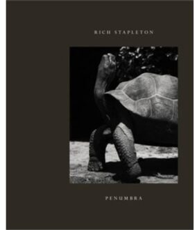 Cooking With Scorsese - The Collection