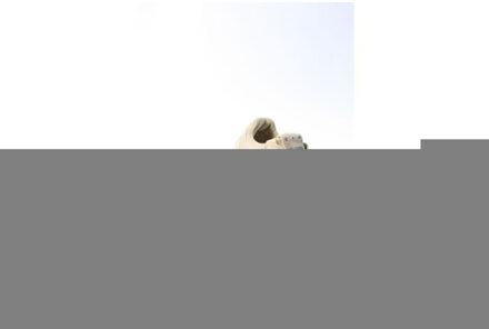 Copenhagen Cph65 sneakers Beige - 39