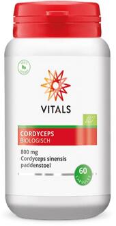 Cordyceps Voedingssupplementen - 60 vegicaps
