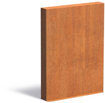 Cortenstaal muur 100x15x135cm.