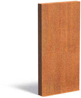 Cortenstaal muur 100x15x200cm.