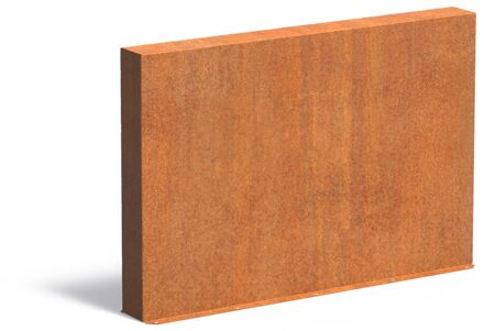 Cortenstaal muur 150x15x100cm.