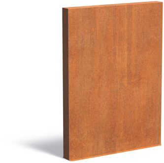 Cortenstaal muur 150x15x200cm.