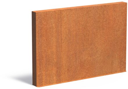 Cortenstaal muur 200x15x135cm.