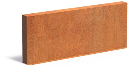 Cortenstaal muur 200x15x80cm.