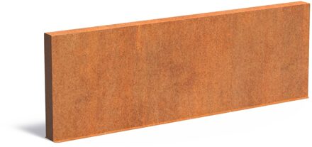 Cortenstaal muur 300x15x100cm.