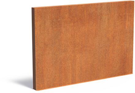 Cortenstaal muur 300x15x200cm.