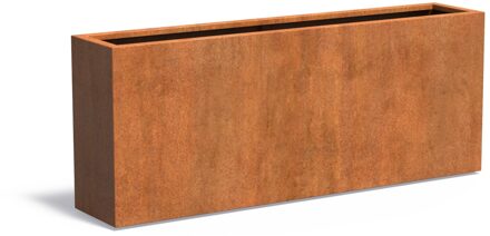 Cortenstaal plantenbak CARREZ 200x40x80cm.