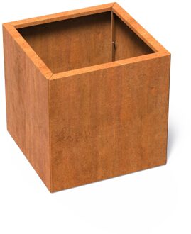 Cortenstaal plantenbak CARREZ Connect 70x70x70cm.