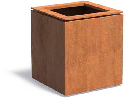 Cortenstaal plantenbak Domus 53x53x60cm.