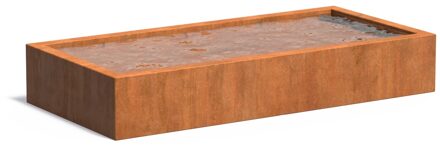 Cortenstaal vijverbak 250x120x40cm.