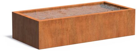 Cortenstaal vijverbak 250x120x60cm.