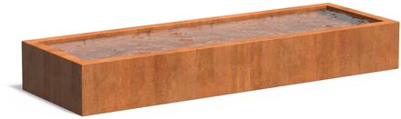 Cortenstaal vijverbak 300x100x40cm.