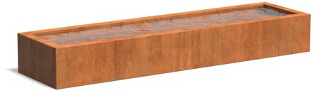 Cortenstaal vijverbak 300x80x40cm.