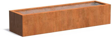 Cortenstaal vijverbak 300x80x60cm.
