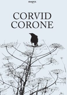 Corvid Corone - MSPYX