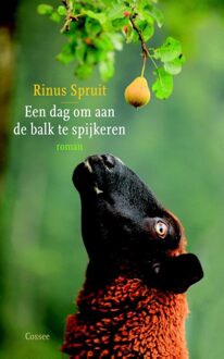 Cossee, Uitgeverij Een dag om aan de balk te spijkeren - eBook Rinus Spruit (905936466X)