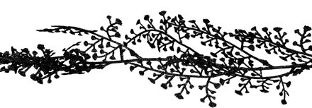 Cosy&Trendy Cosy at Home kerstslinger - zwart - 180 cm - kunststof - Guirlandes