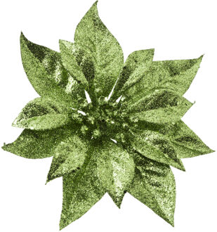 Cosy&Trendy Decoratie bloem - kerstster - op clip - groen - glitter -18 cm - kunststof - kerstversiering