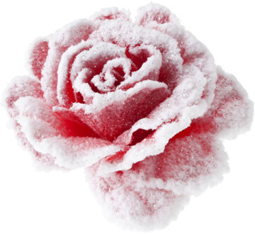 Cosy&Trendy decoratie bloemen - roos - rozen - roze met sneeuw - op clip - 15 cm - kerstboom
