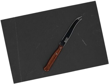 Cosy&Trendy Kaas serveerplank leisteen 30 cm met kaasmes