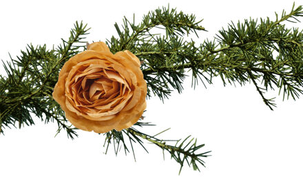 Cosy&Trendy Kerstboomversiering bloem roos - 2x - op clip - goud - 9 cm - kunststof