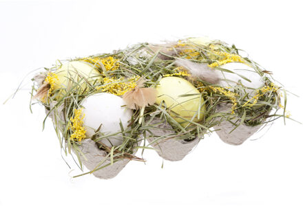 Cosy&Trendy Paaseieren - 6x - in karton - 6 cm - paasdecoratie - paasversiering - pasen