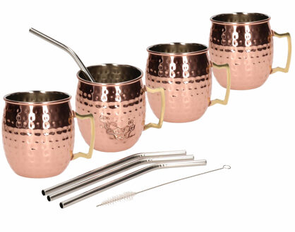 Cosy&Trendy Set van 4 cocktailbekers met RVS rietjes - Cocktailglazen Bruin